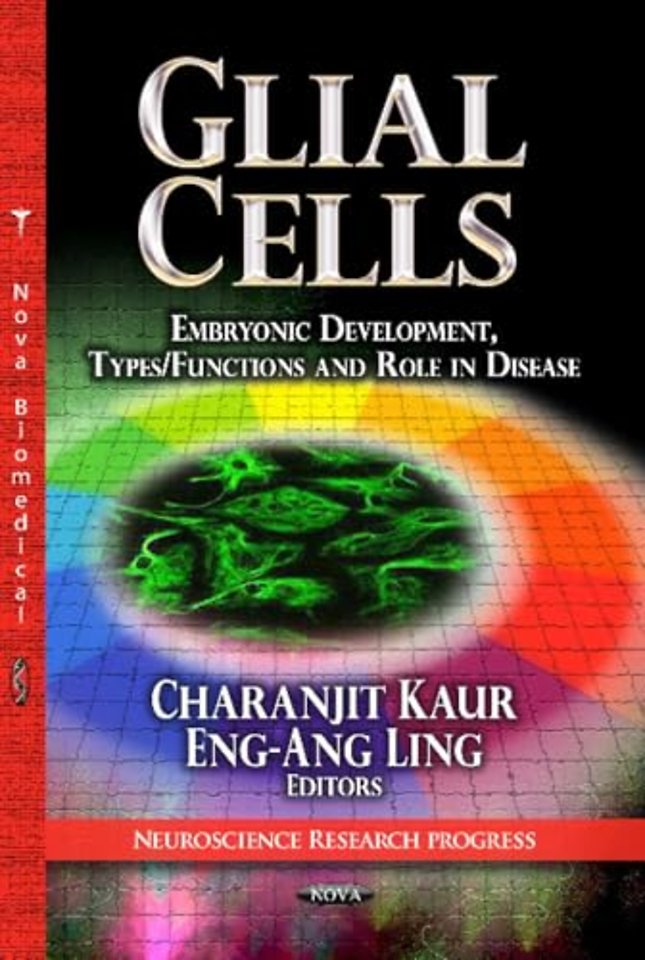 Glial Cells