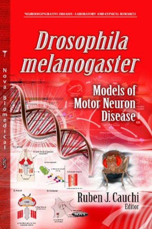 Drosophila Melanogaster Models of Motor Neuron Disease
