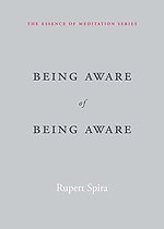 Being Aware of Being Aware