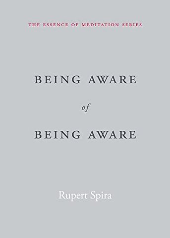 Being Aware of Being Aware