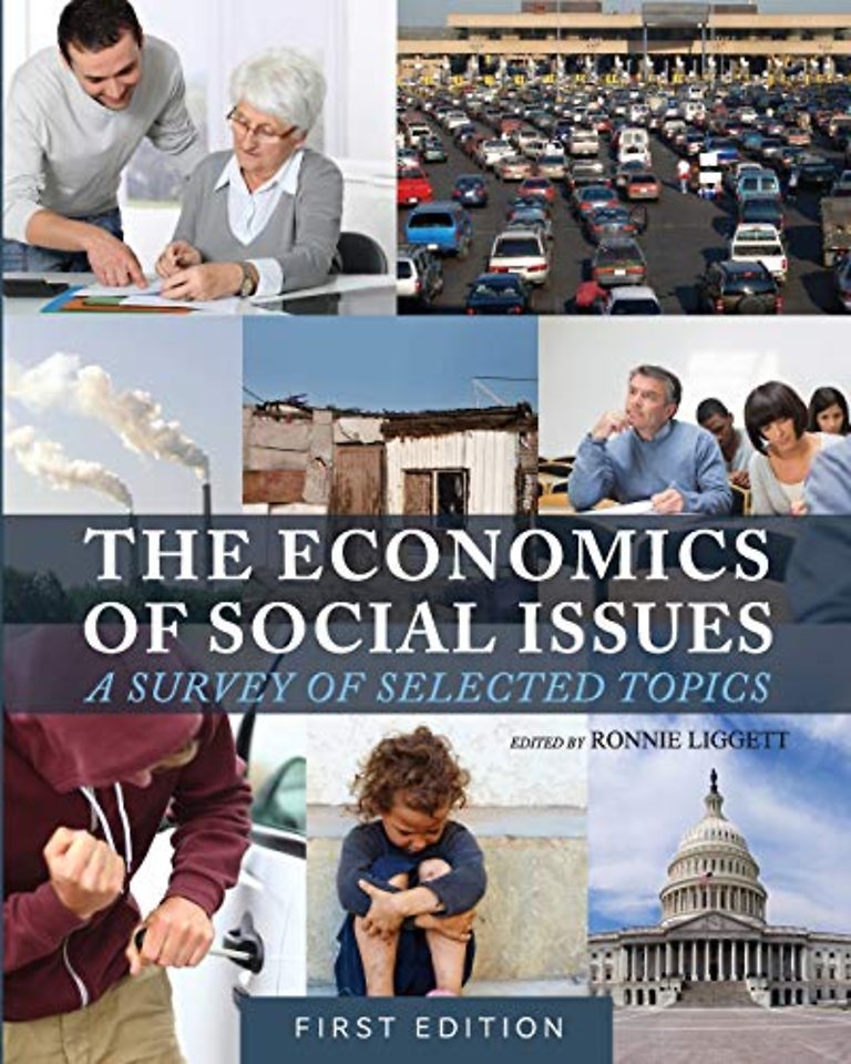 The Economics of Social Issues – A Survey of Selected Topics