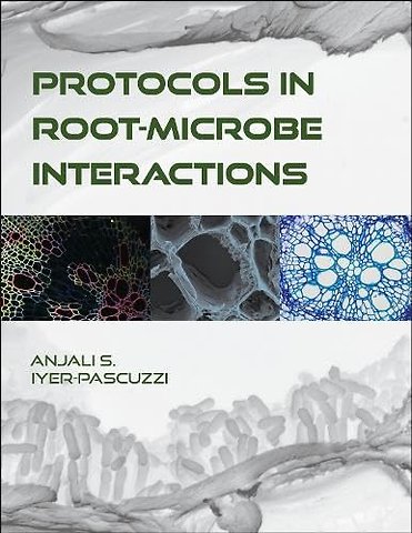 Protocols in Root–Microbe Interactions