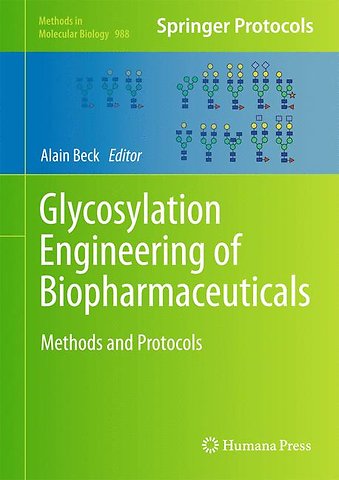Glycosylation Engineering of Biopharmaceuticals
