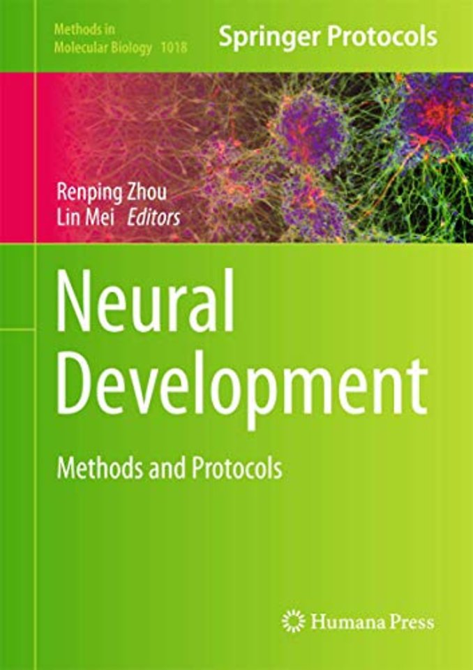 Neural Development