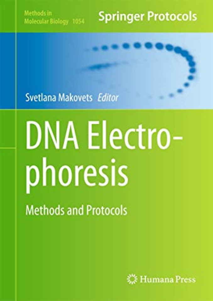 DNA Electrophoresis