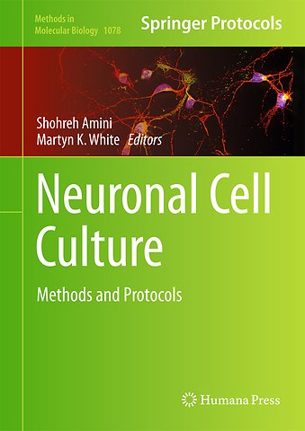 Neuronal Cell Culture