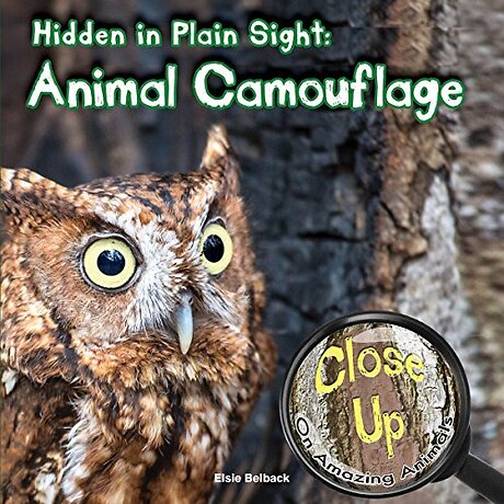 Hidden in Plain Sight