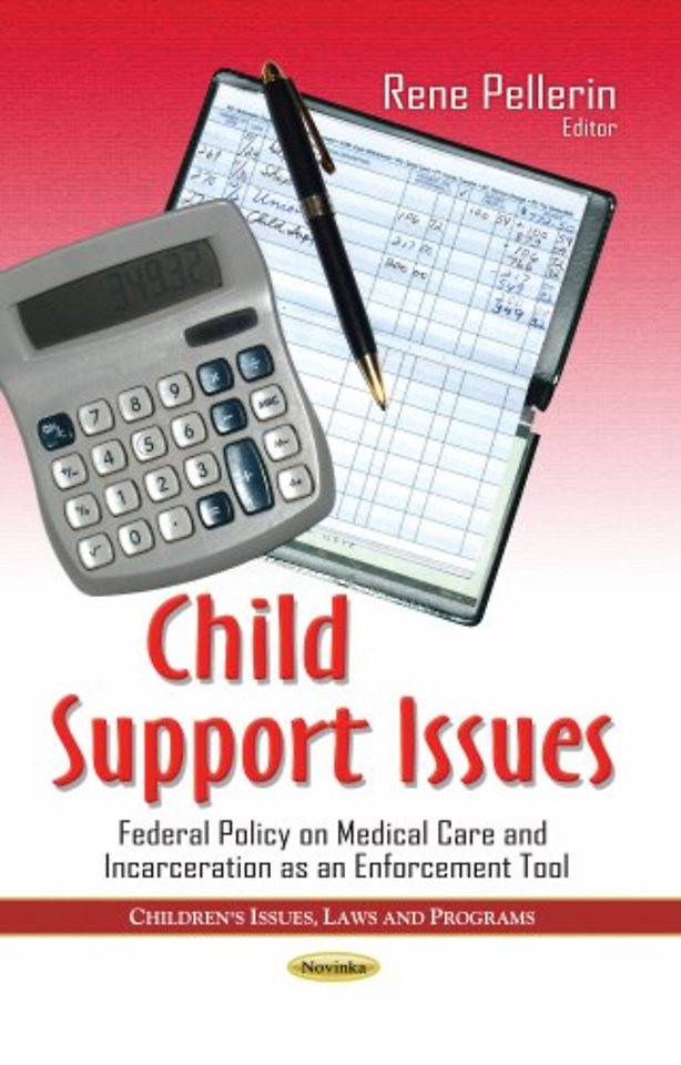Child Support Issues