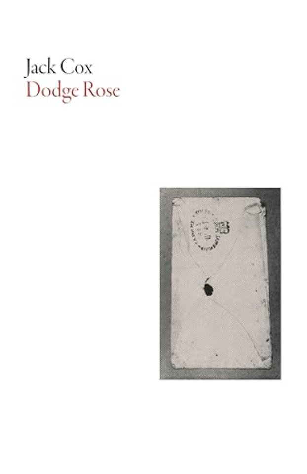 Dodge Rose