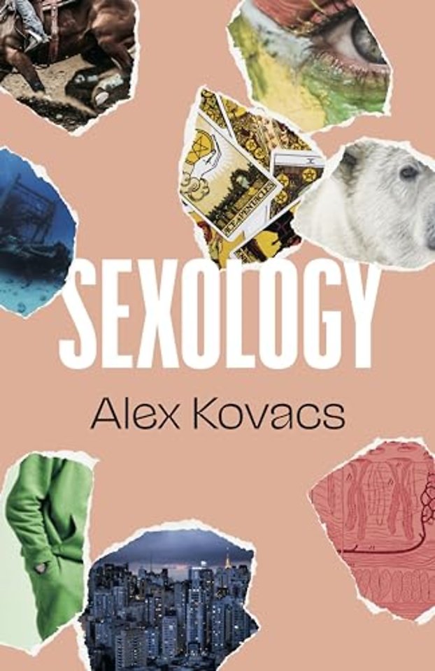 Sexology