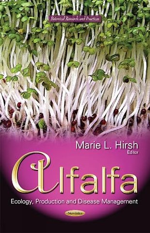 Alfalfa