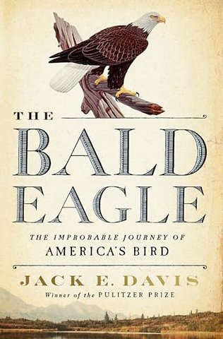 The Bald Eagle