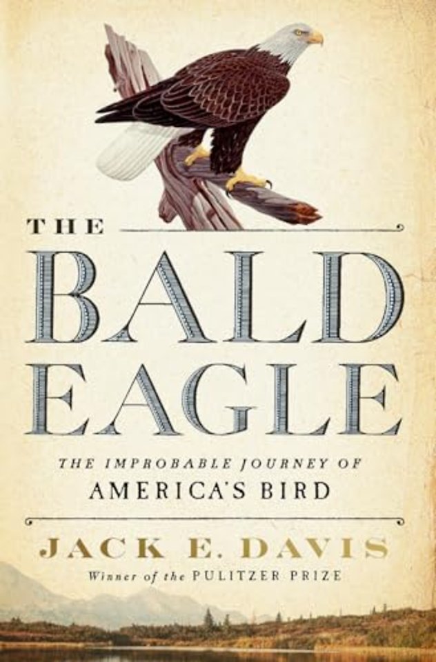 The Bald Eagle