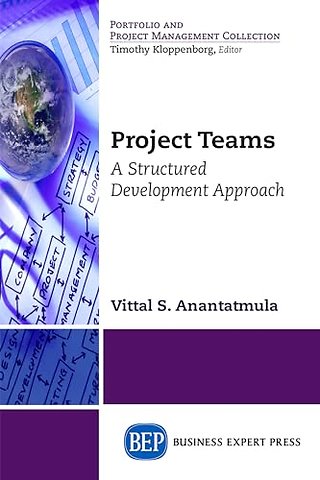 Project Teams – A Structured Development Approach