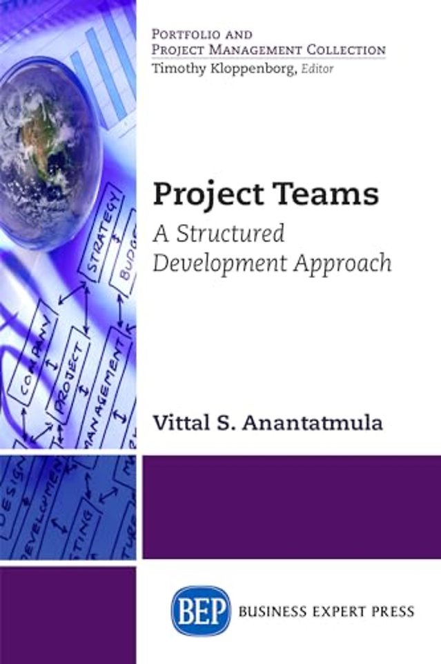 Project Teams – A Structured Development Approach