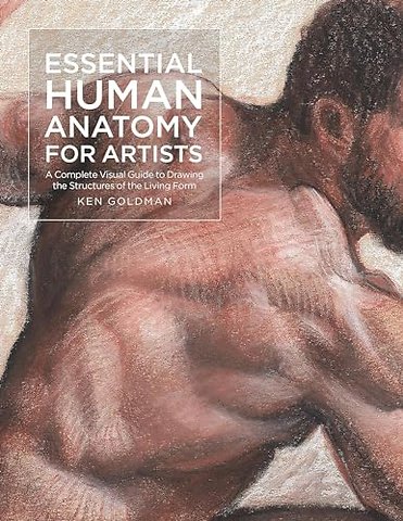 Essential Human Anatomy for Artists