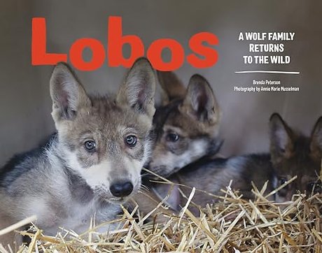 Lobos