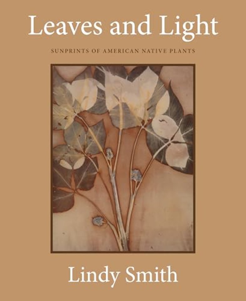 Leaves and Light