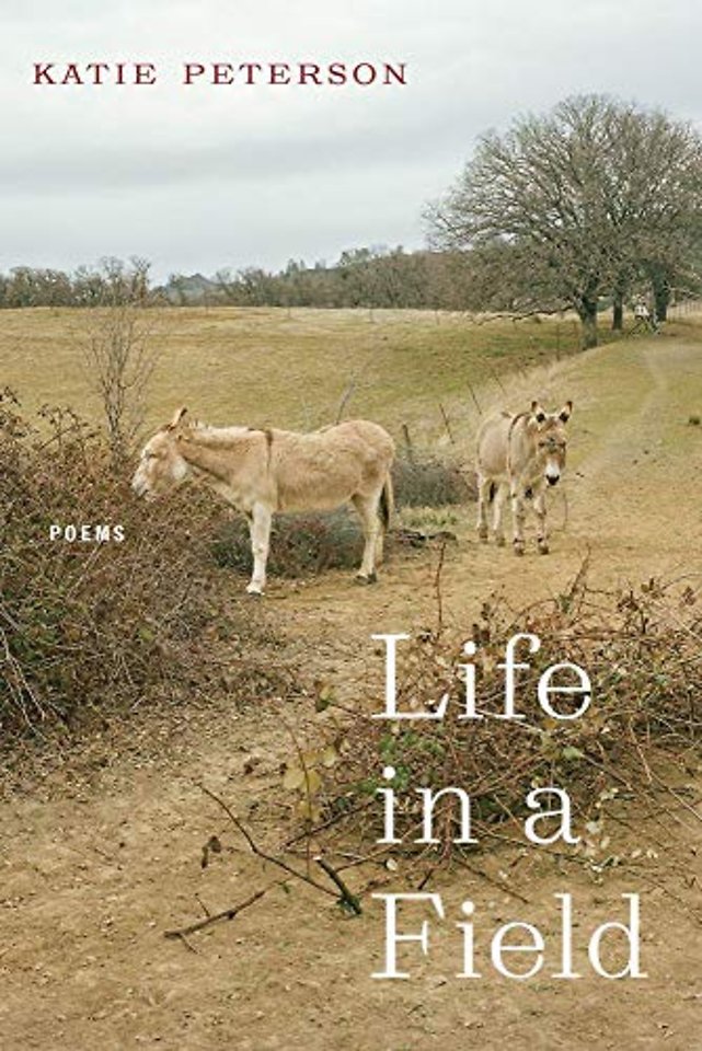 Life in a Field – Poems