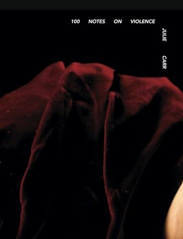 100 Notes on Violence