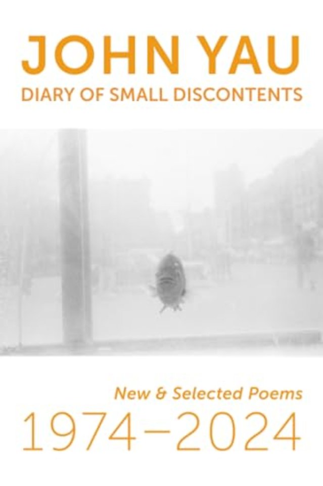 Diary of Small Discontents