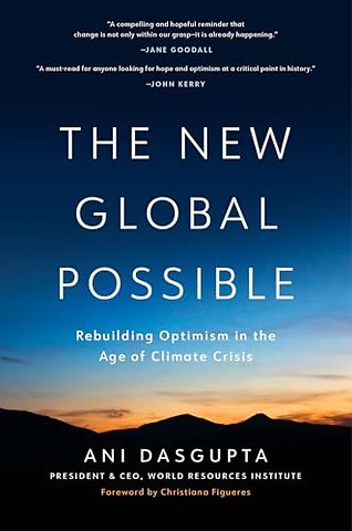 The New Global Possible