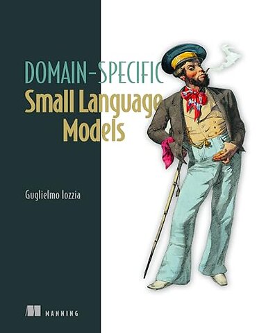 Domain-Specific Small Language Models