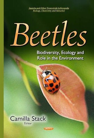 Beetles