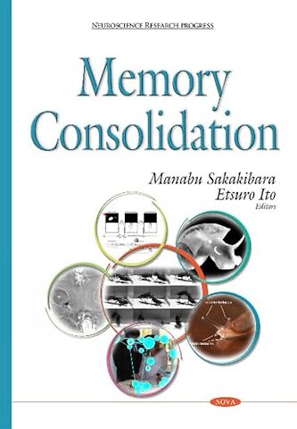 Memory Consolidation