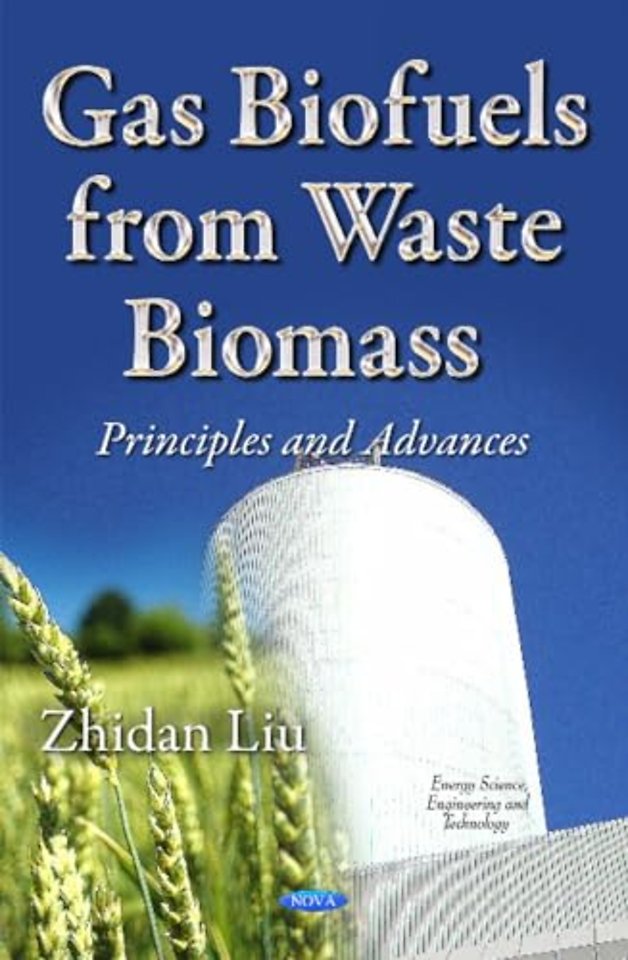 Gas Biofuels from Waste Biomass