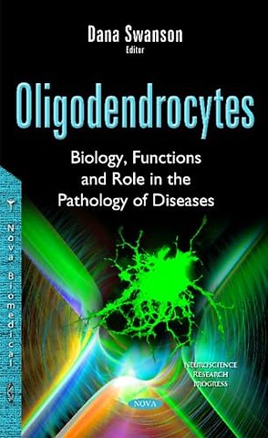 Oligodendrocytes
