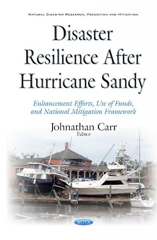 Disaster Resilience after Hurricane Sandy