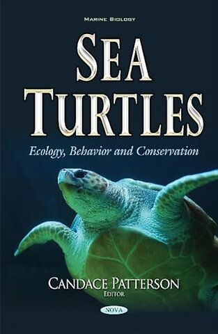 Sea Turtles