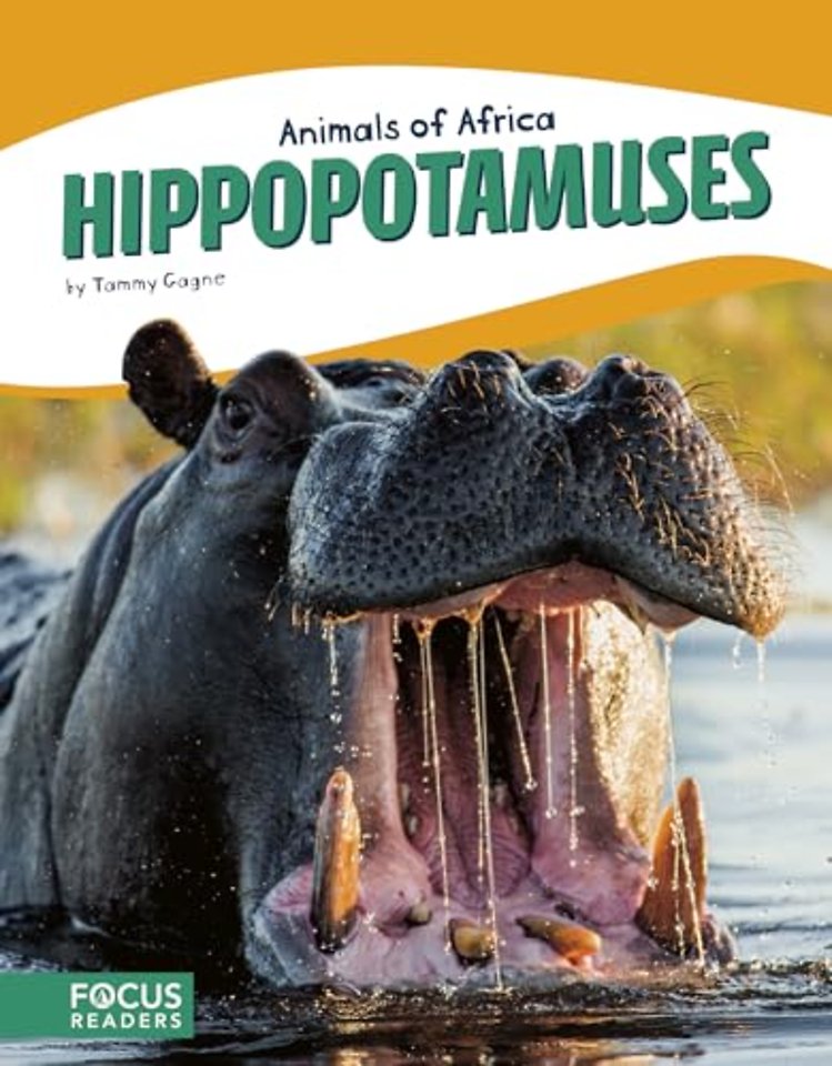 Hippopotamuses