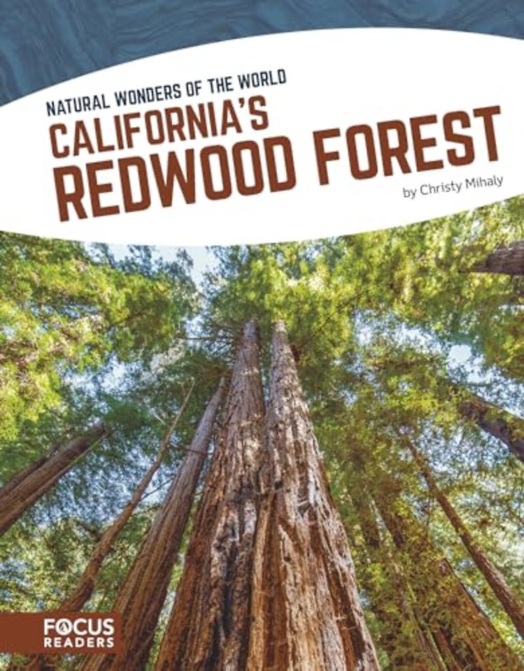 California’s Redwood Forest