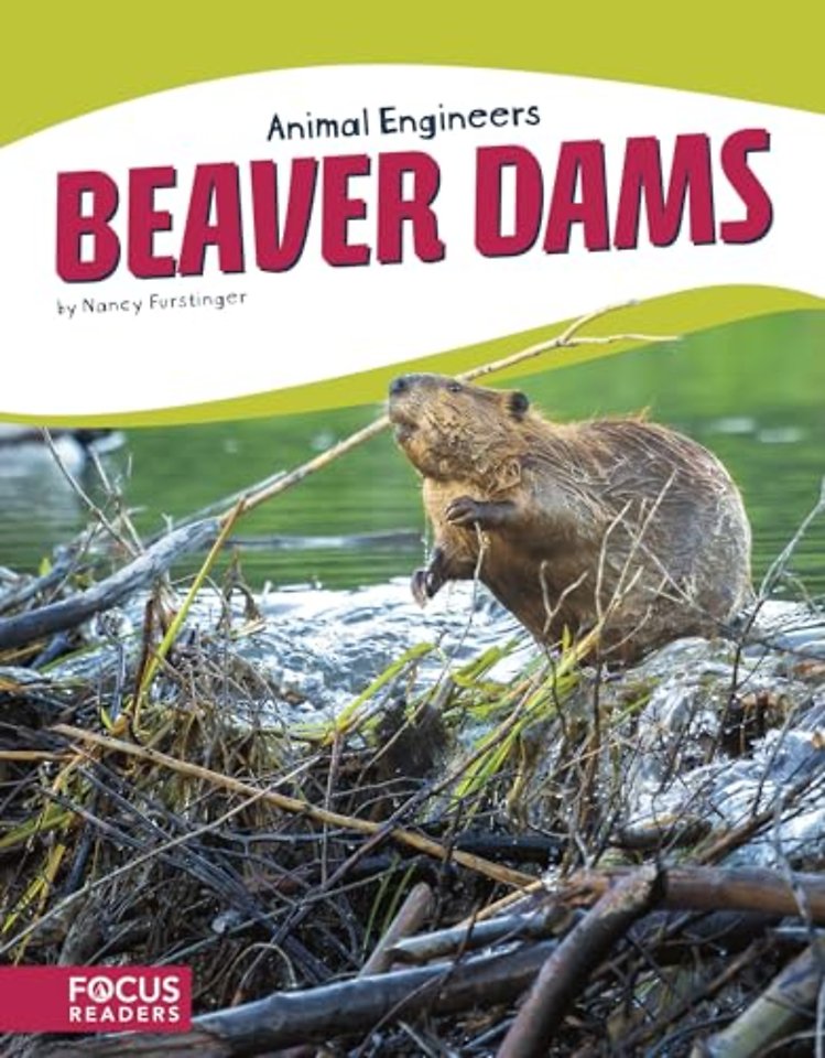 Beaver Dams