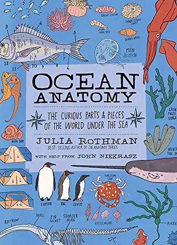 Ocean Anatomy