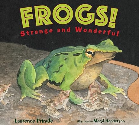 Frogs!