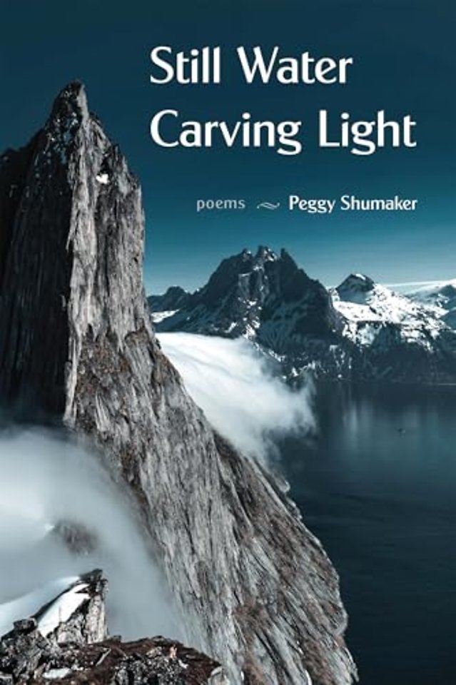 Still Water Carving Light