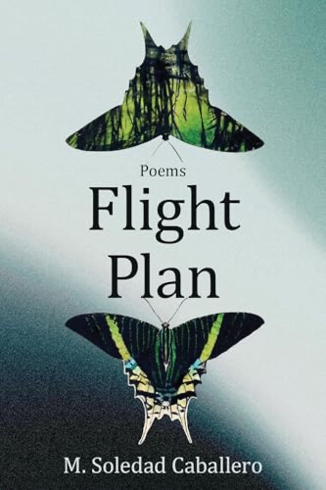 Flight Plan