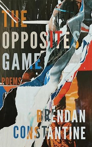 The Opposites Game