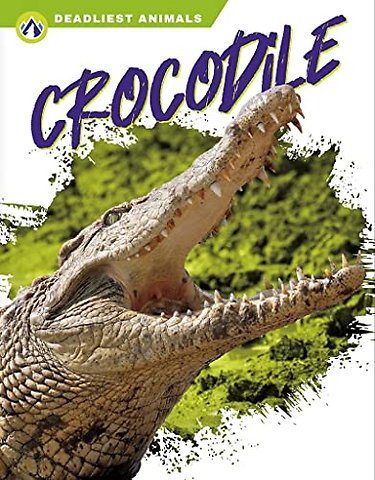 Crocodile