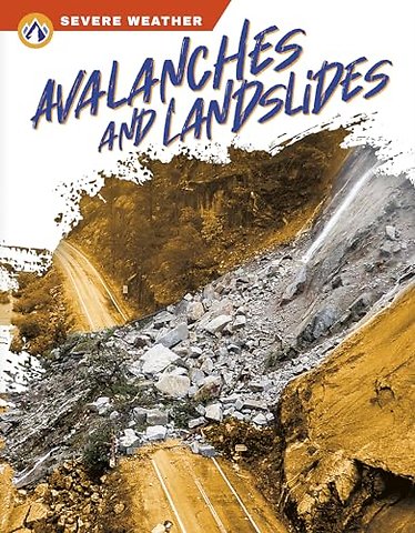Avalanches and Landslides