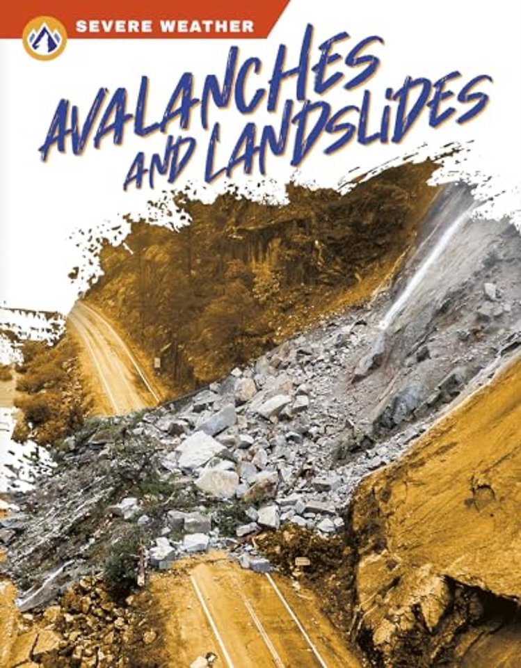 Avalanches and Landslides