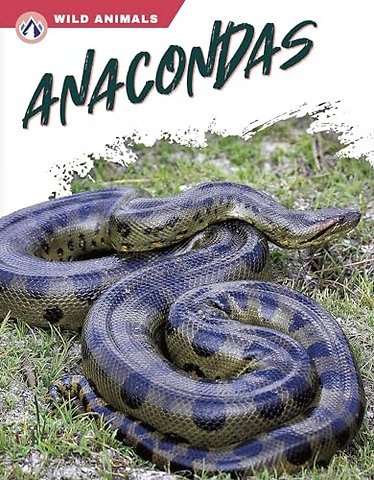 Anacondas