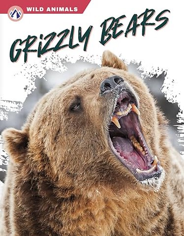 Grizzly Bears