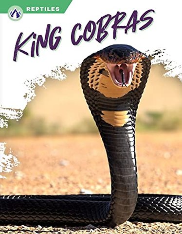 King Cobras