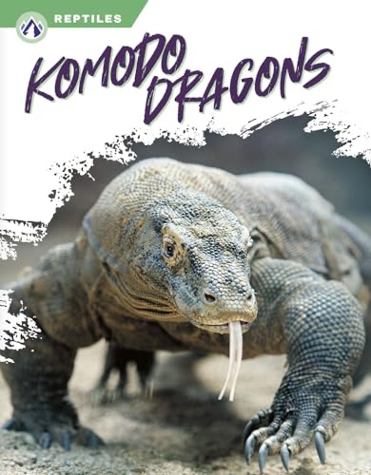 Komodo Dragons