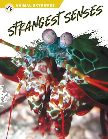 Strangest Senses