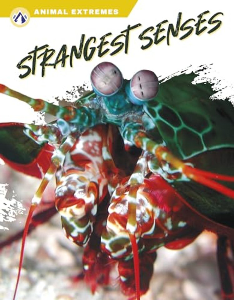 Strangest Senses
